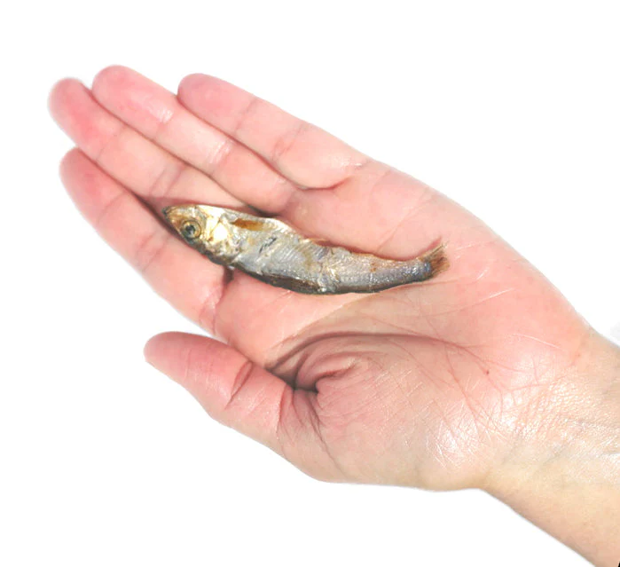 Thumb 5